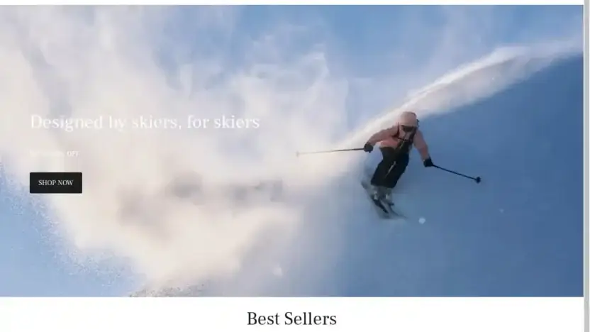 Screenshot of Non-Delivery scam website Mammutimg.com