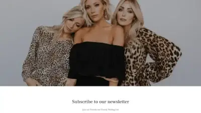 Screenshot of Non-Delivery scam website Massimoline.shop