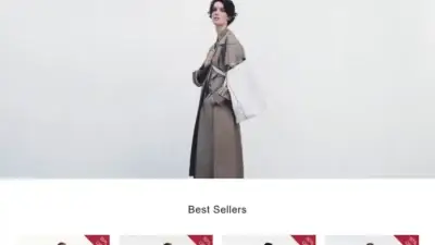 Screenshot of Non-Delivery scam website Mavipsale.com