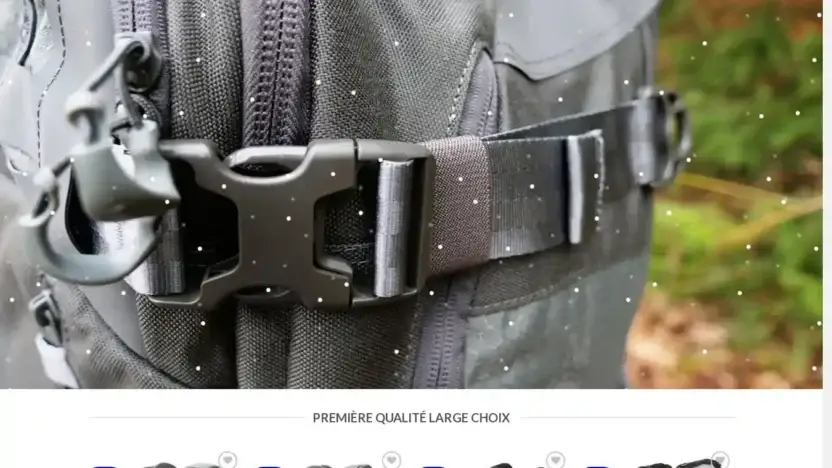 Screenshot of Non-Delivery scam website Maxpeditionoffres.com