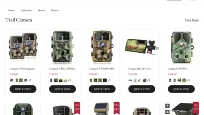 Screenshot of Non-Delivery scam website Maxxstore.top