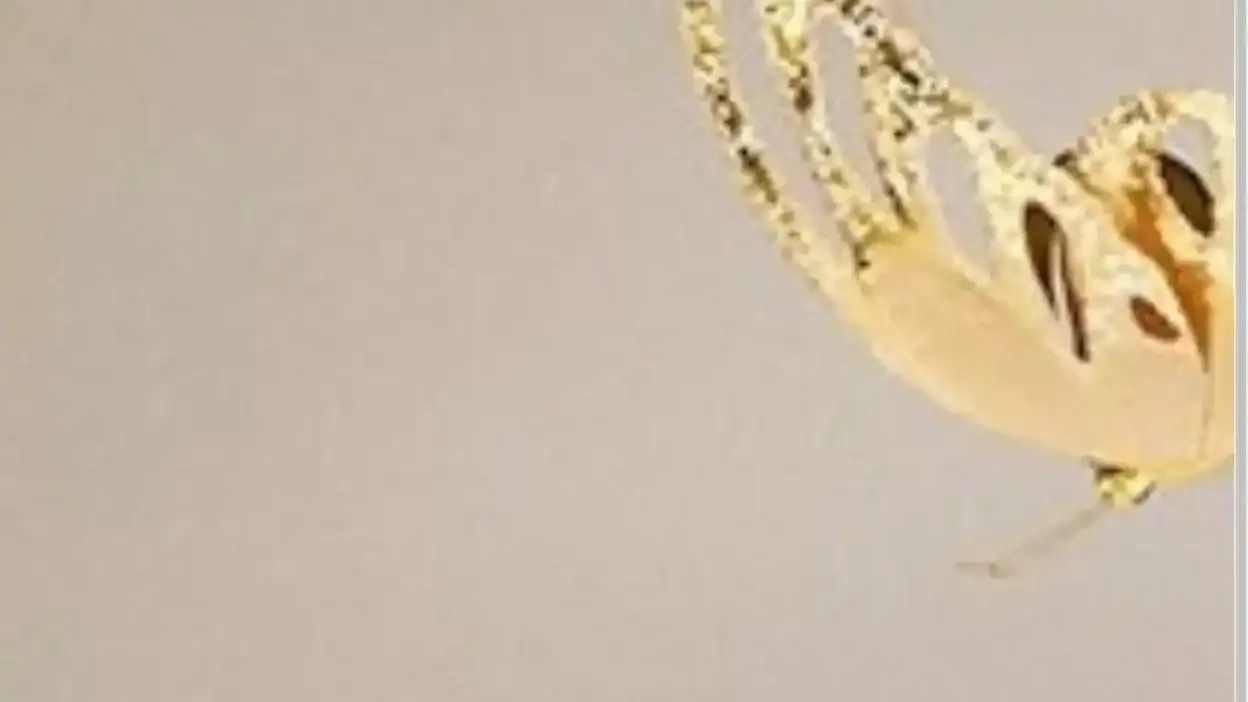 Screenshot of Non-Delivery scam website Mayanc.top