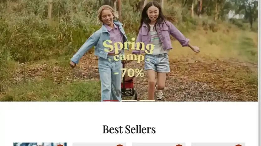 Screenshot of Non-Delivery scam website Mayoralimg.com