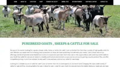 Screenshot of Non-Delivery scam website Mayslandlivestockinc.com