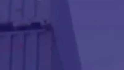 Screenshot of Container scam website Megacubecontainers.com