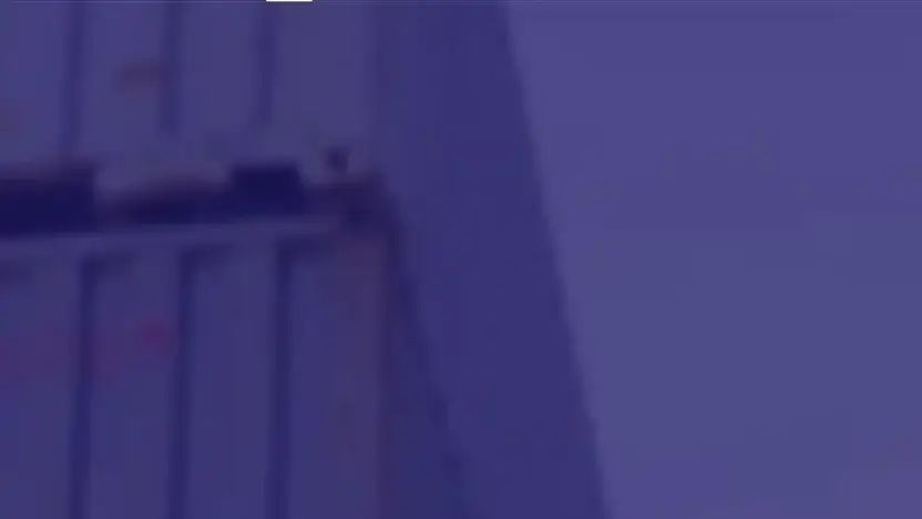 Screenshot of Container scam website Megacubecontainers.com