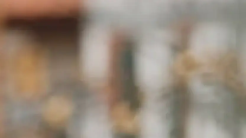 Screenshot of Sport scam website Meridabikes247.com