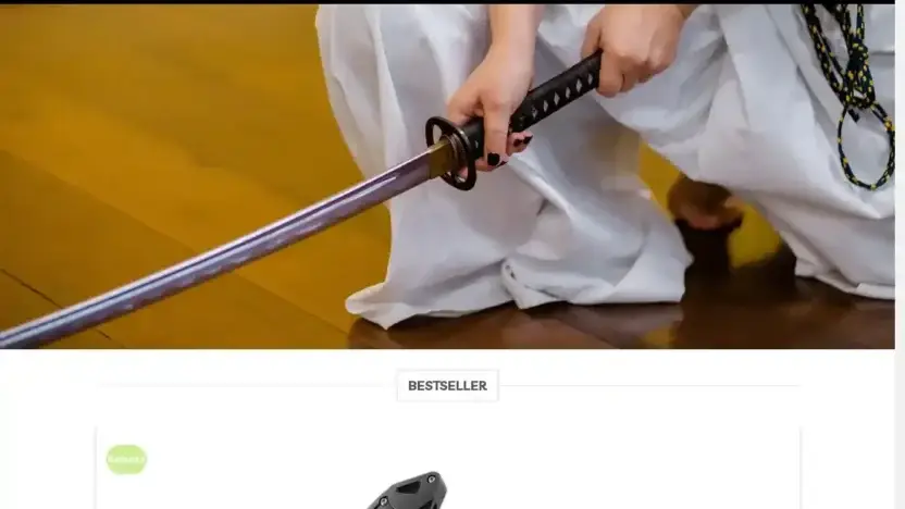 Screenshot of Non-Delivery scam website Messerbedarf.com