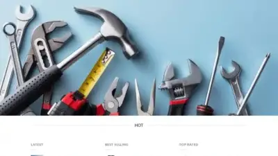 Screenshot of Non-Delivery scam website Michaellens.com