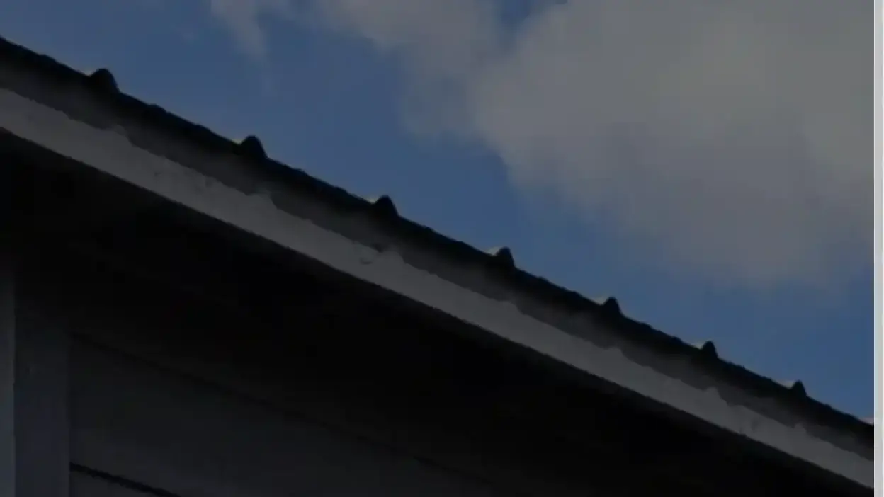 Screenshot of Non-Delivery scam website Michealmobilehomesandtrailersforsale.com