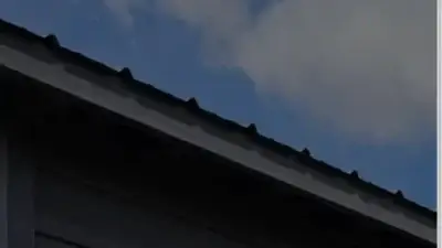 Screenshot of Non-Delivery scam website Michealmobilehomesandtrailersforsale.com