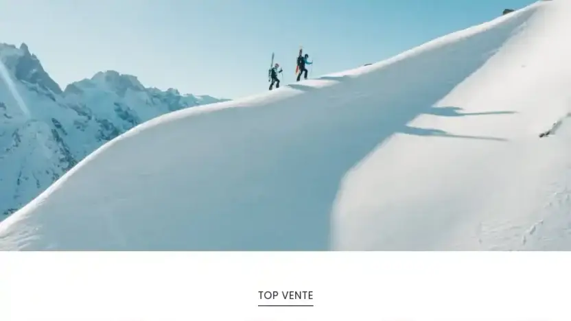 Screenshot of Non-Delivery scam website Milletmountains.com