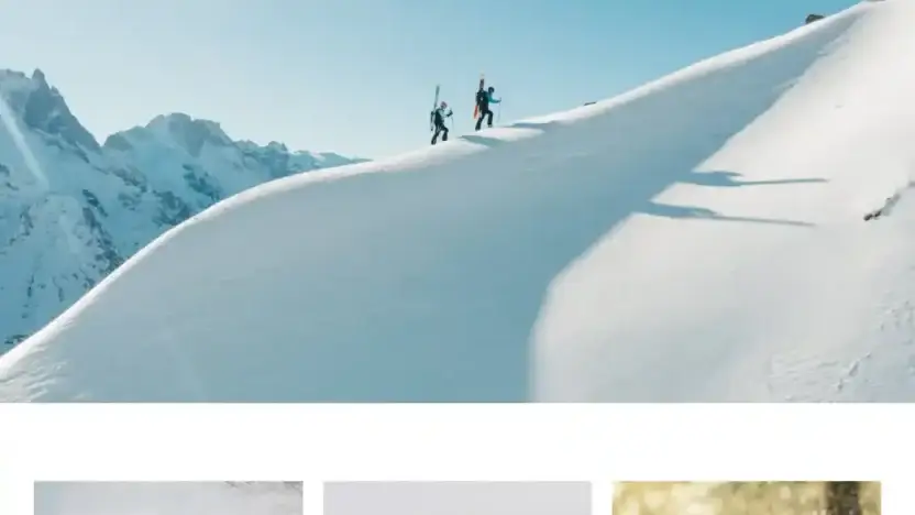 Screenshot of Non-Delivery scam website Milletstorefr.com