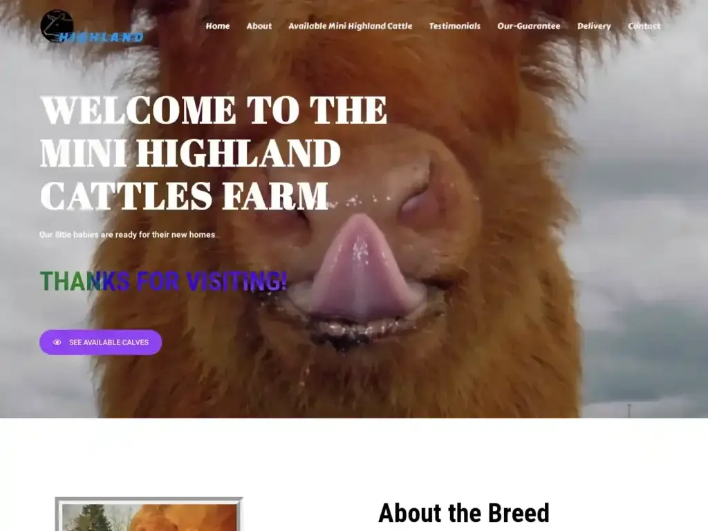 minihighlandcattlefarm-com Alternative Text