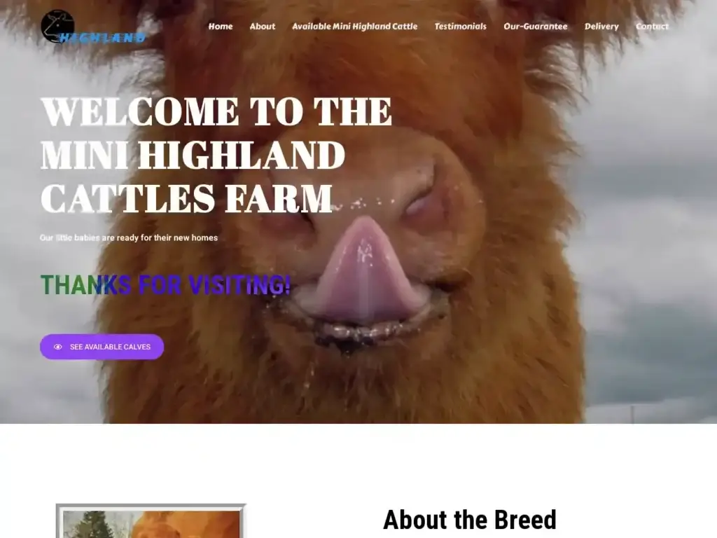 minihiglandcattlesfarm-com Alternative Text