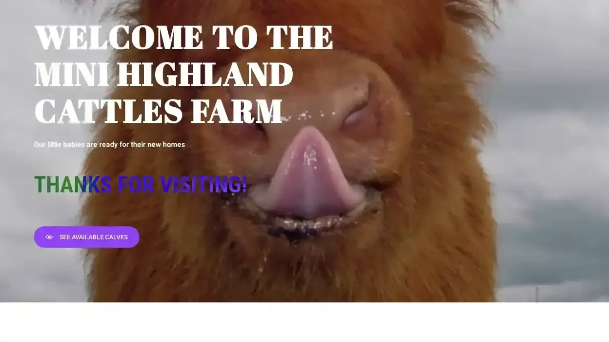 Screenshot of Non-Delivery scam website Minihiglandcattlesfarm.com