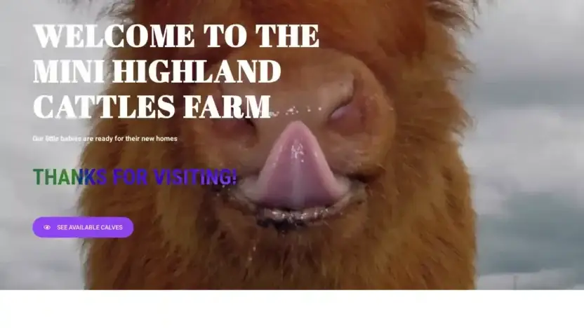 Screenshot of Non-Delivery scam website Minihiglandcattlesfarm.com