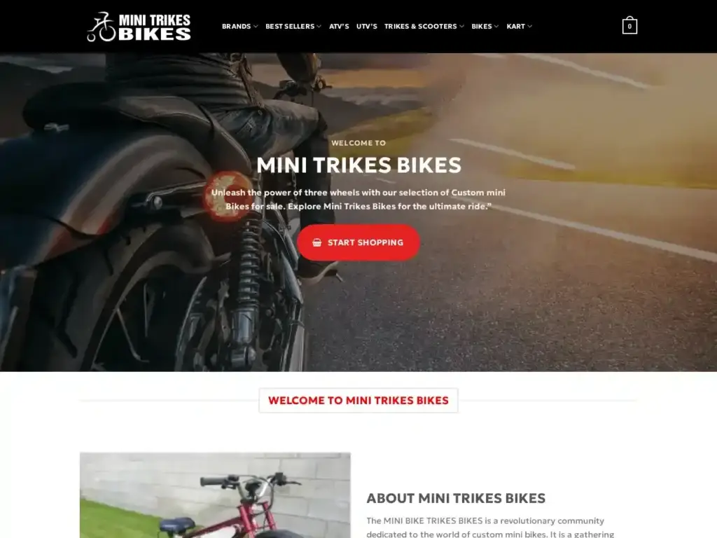 minitrikesbikes-com Alternative Text