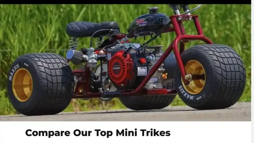 Screenshot of Non-Delivery scam website Minitrikewheel.com