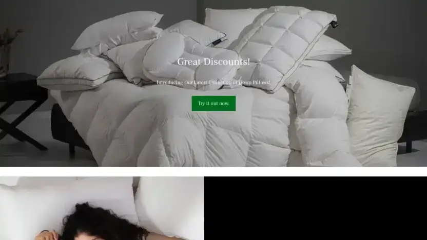 Screenshot of Non-Delivery scam website Mod-pensets.com