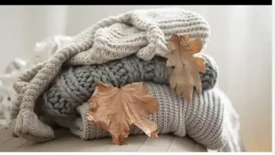 Screenshot of Non-Delivery scam website Modemymo.com