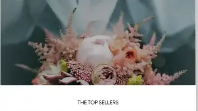 Screenshot of Non-Delivery scam website Modernlivingfurnishings.com