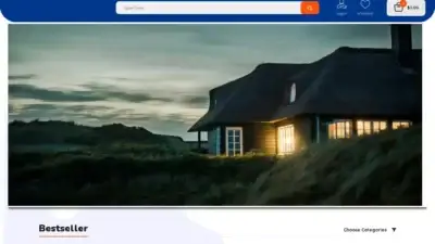 Screenshot of Non-Delivery scam website Modernmansionstyles.com