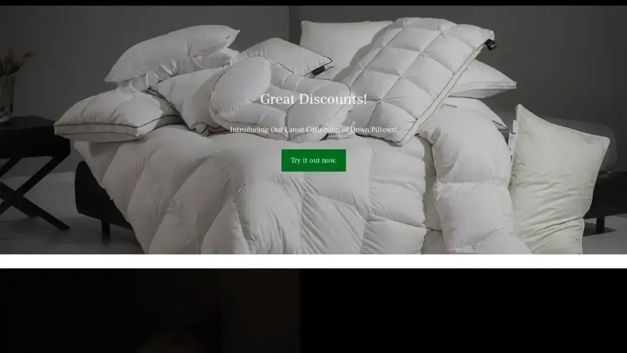 Screenshot of Non-Delivery scam website Modtixpillows.online