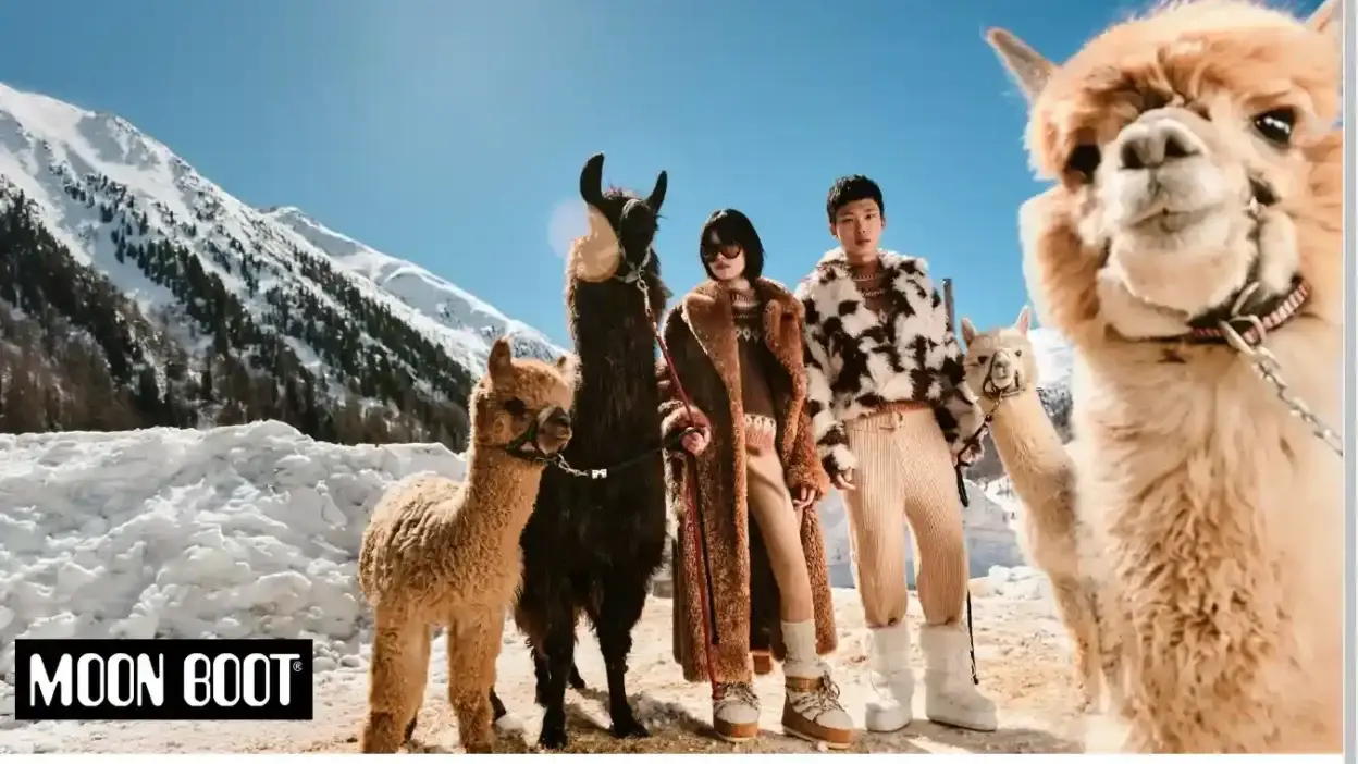 Screenshot of Non-Delivery scam website Moerboots.com