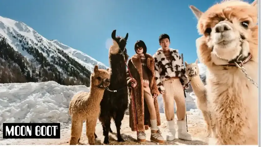 Screenshot of Non-Delivery scam website Moerboots.com