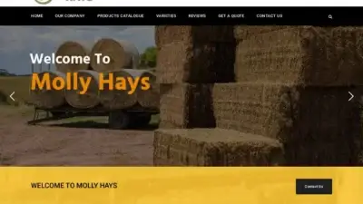 Screenshot of Non-Delivery scam website Mollyhays.com