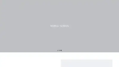 Screenshot of Non-Delivery scam website Moonstartsty.com