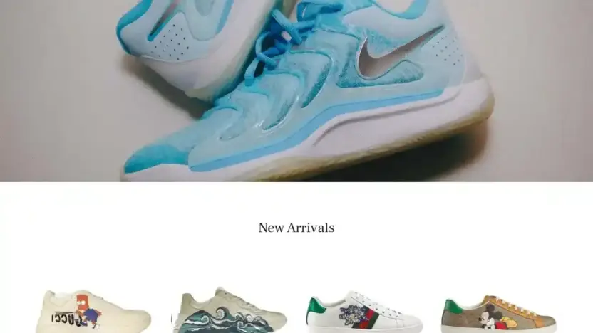 Screenshot of Non-Delivery scam website Movovelo.com