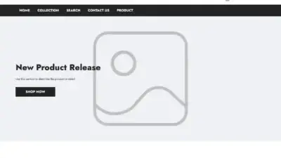 Screenshot of Non-Delivery scam website Mpawud.com