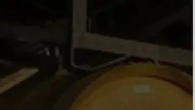 Screenshot of Non-Delivery scam website Mrpinballmachines.com