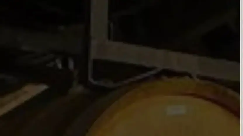 Screenshot of Non-Delivery scam website Mrpinballmachines.com