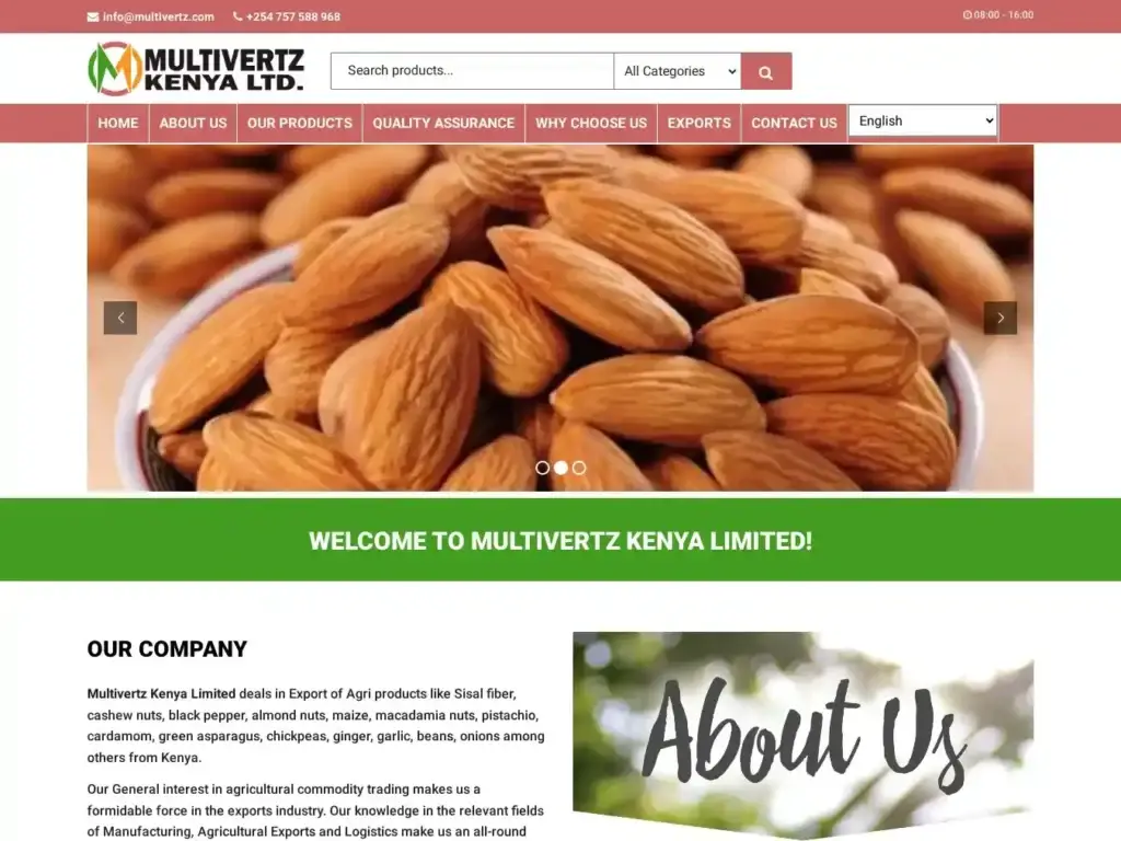 multivertz-com Alternative Text