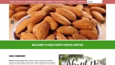 Screenshot of Non-Delivery scam website Multivertz.com