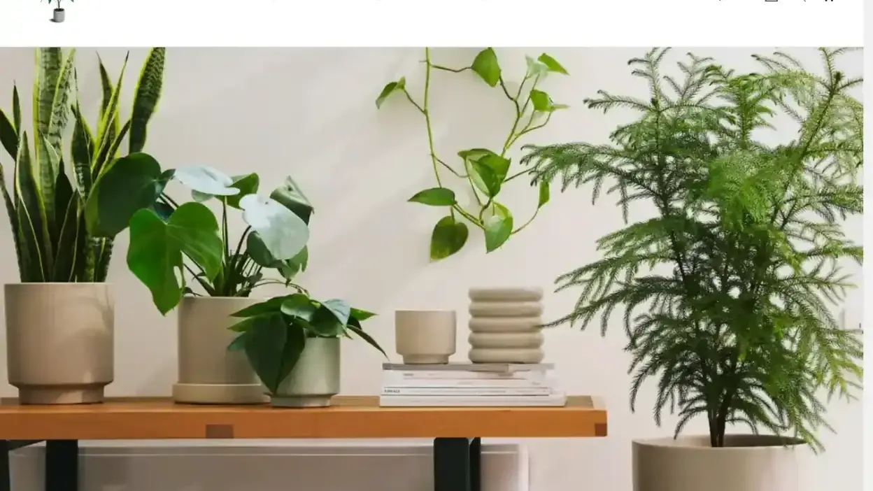 Screenshot of Non-Delivery scam website Mxphs.com