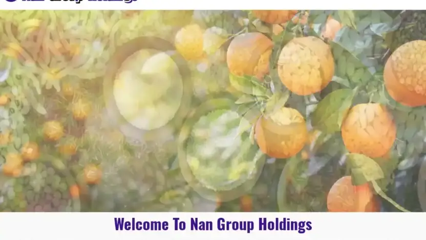 Screenshot of Non-Delivery scam website Nangroupholdings.com