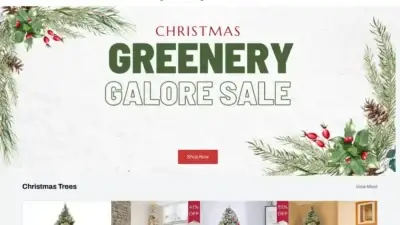 Screenshot of Non-Delivery scam website Nationaltree.top