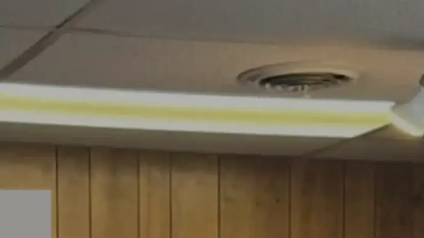 Screenshot of Whisky scam website Needhelponthemove.com