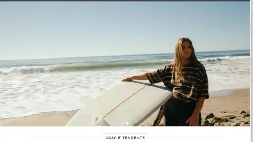 Screenshot of Non-Delivery scam website Negoziobillabong.com