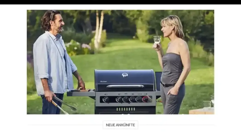 Screenshot of Non-Delivery scam website Neugrill.com