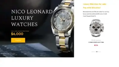 Screenshot of Non-Delivery scam website Nicoleonardluxurywatches.com