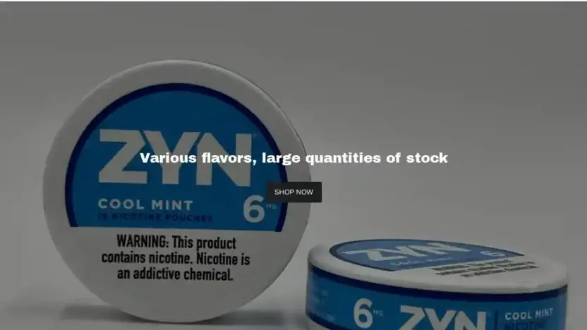 Screenshot of Non-Delivery scam website Nikbag.top