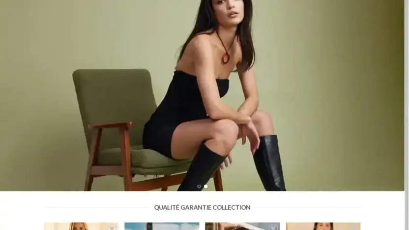 Screenshot of Non-Delivery scam website Noolingeriefr.com