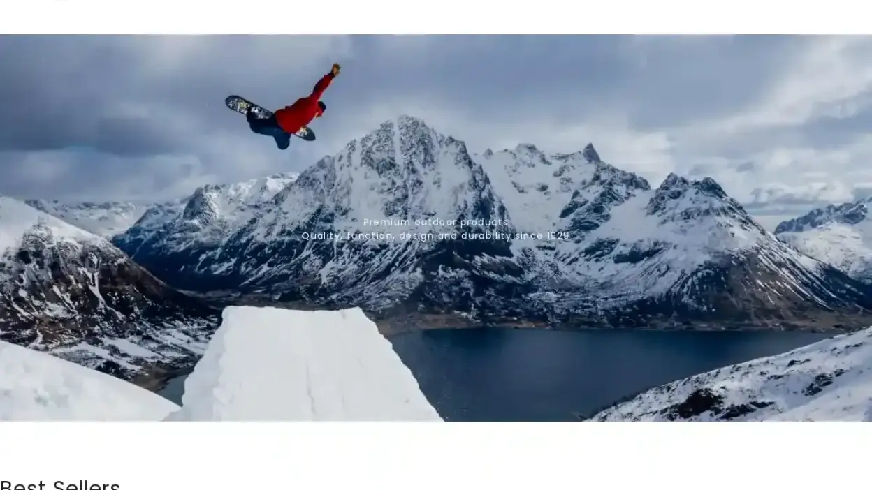 Screenshot of Non-Delivery scam website Norronasales.com