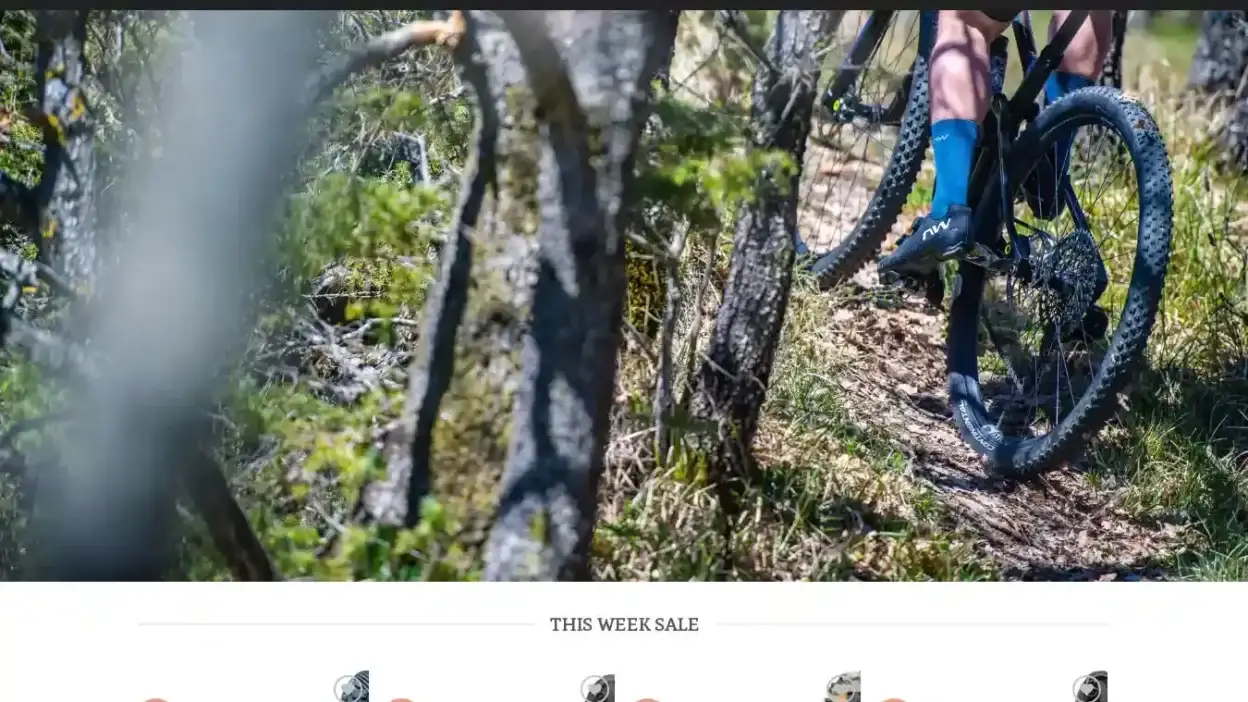 Screenshot of Sport scam website Northwaveoff.com