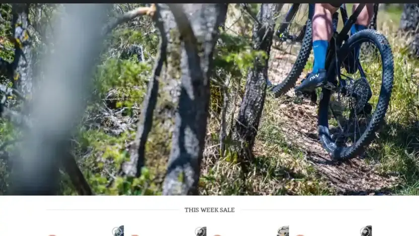 Screenshot of Sport scam website Northwaveoff.com